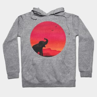 African sunset Hoodie